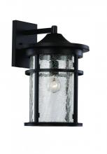 Trans Globe 40381 BK - 1LT WALL LANTERN-MD-CRACKLE GL